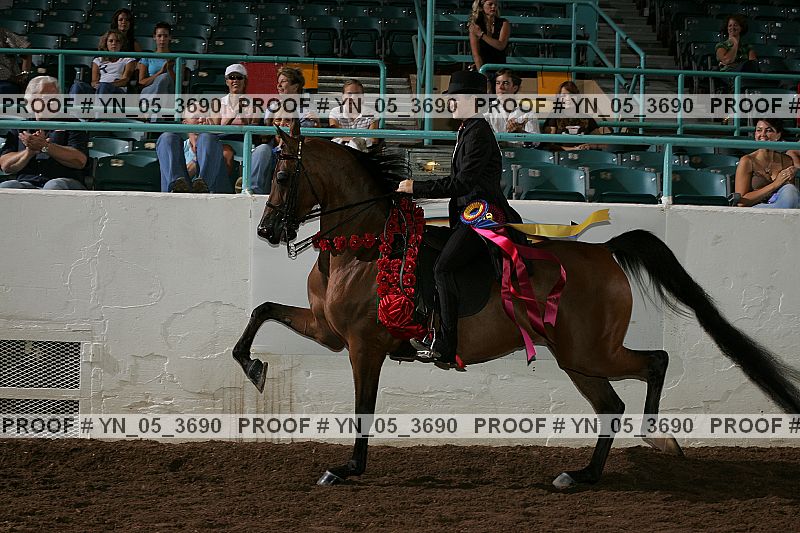 Proof Number yn_05_3690
