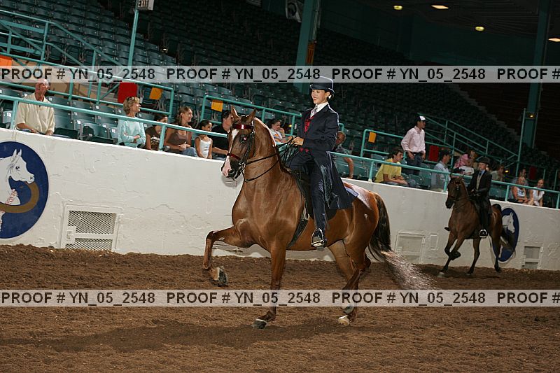 Proof Number yn_05_2548