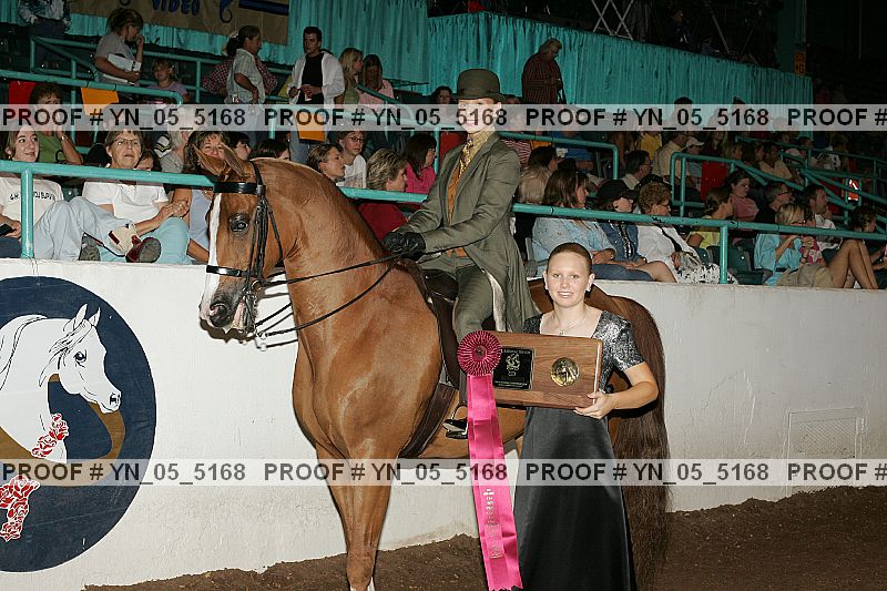 Proof Number yn_05_5168