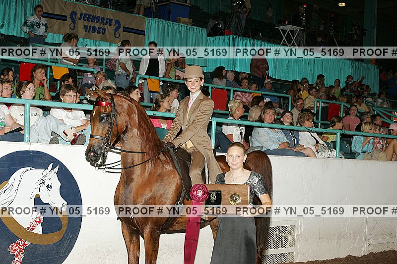 Proof Number yn_05_5169