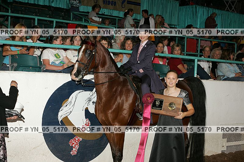 Proof Number yn_05_5170