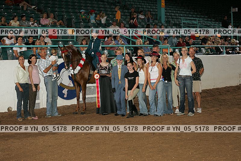 Proof Number yn_05_5178