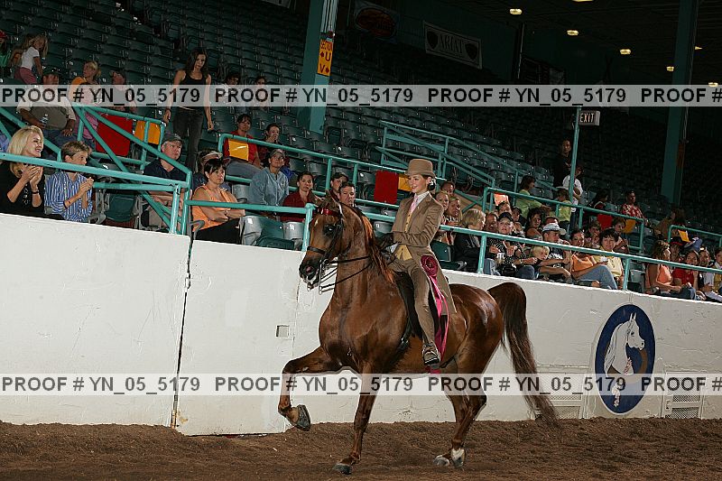 Proof Number yn_05_5179