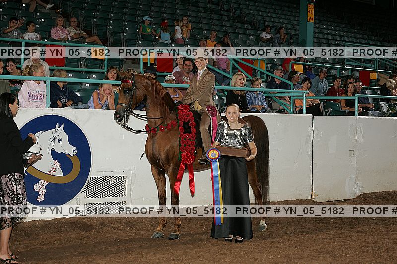 Proof Number yn_05_5182