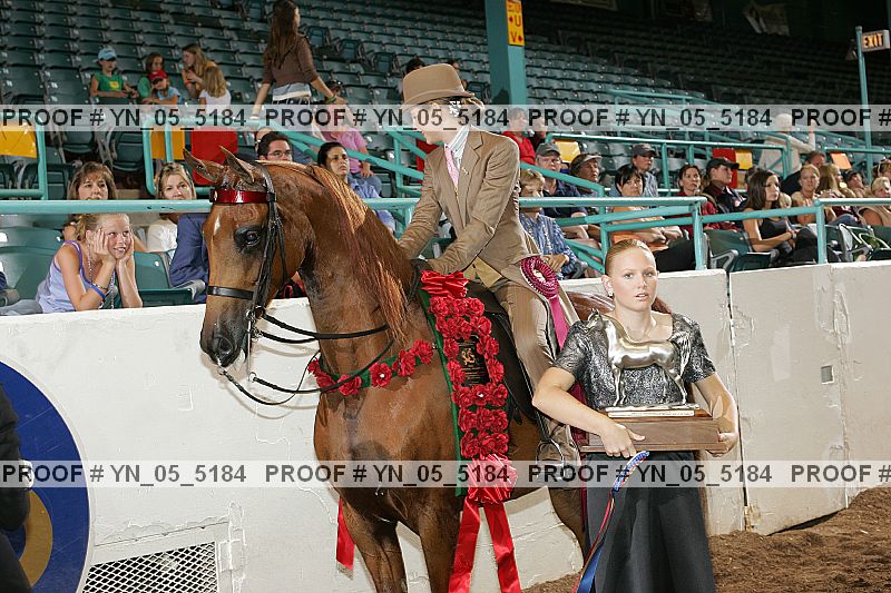 Proof Number yn_05_5184