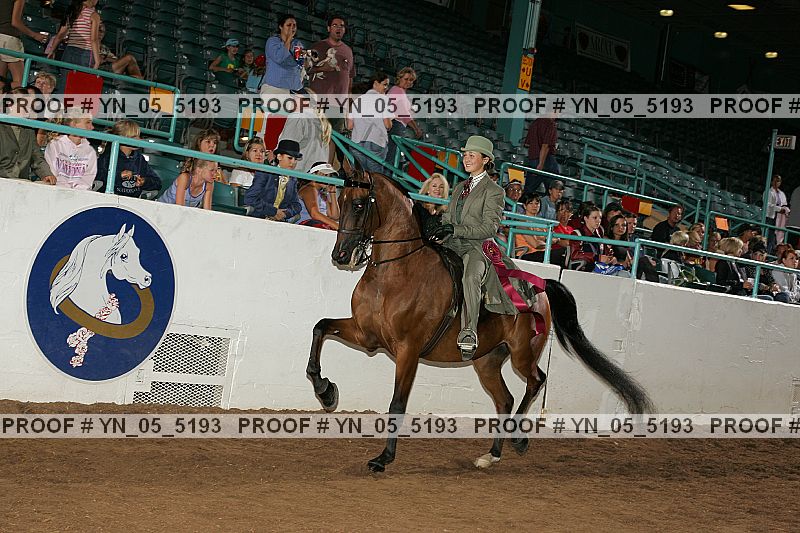 Proof Number yn_05_5193