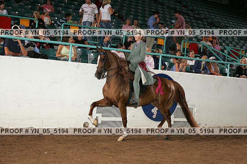 Proof Number yn_05_5194