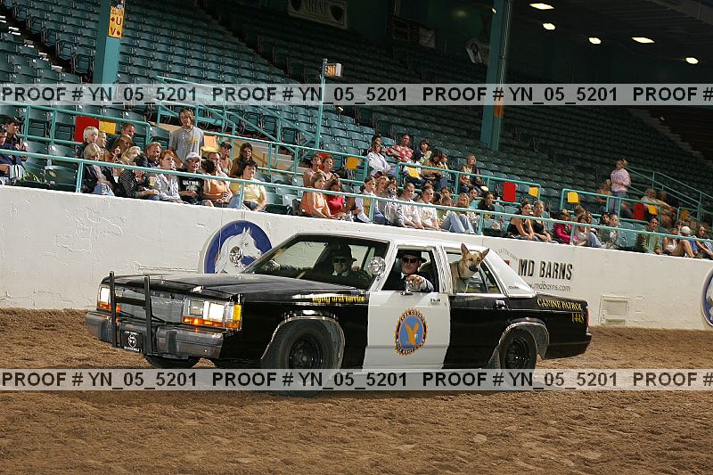 Proof Number yn_05_5201
