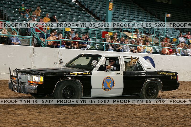 Proof Number yn_05_5202