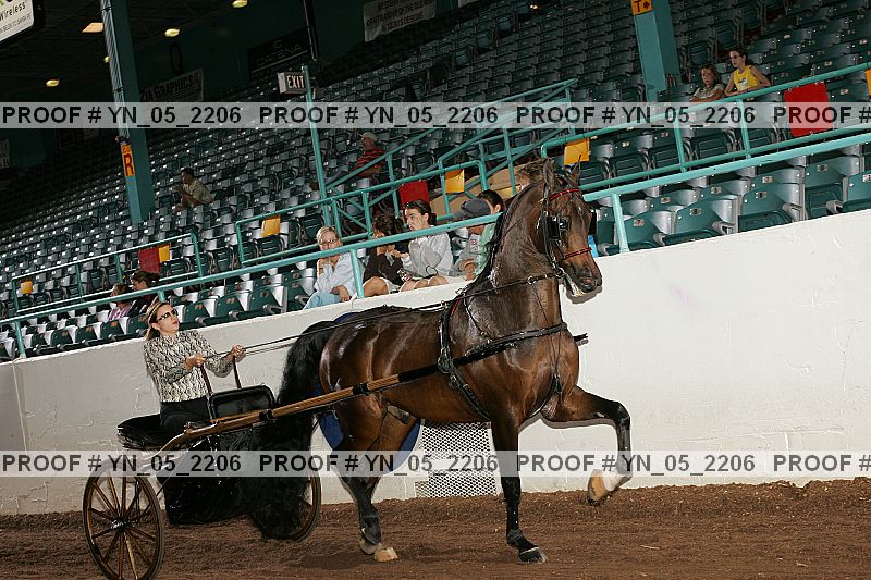 Proof Number yn_05_2206