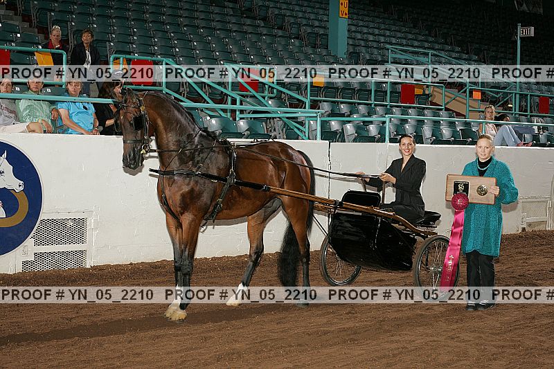 Proof Number yn_05_2210