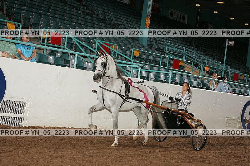 Proof Number yn_05_2223