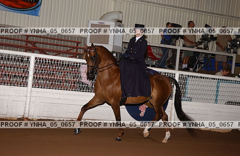 Proof Number ynha_05_0657