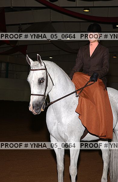 Proof Number ynha_05_0664
