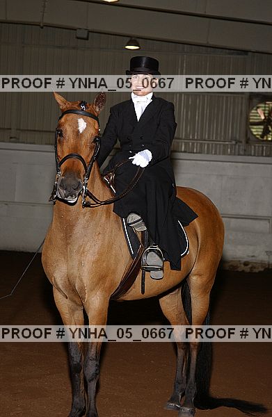 Proof Number ynha_05_0667