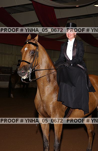 Proof Number ynha_05_0672
