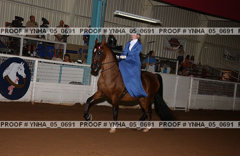 Proof Number ynha_05_0691