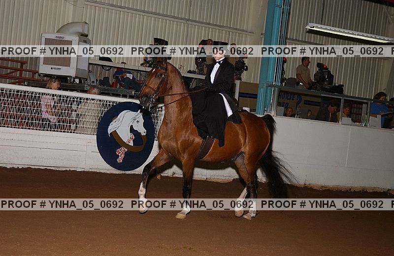 Proof Number ynha_05_0692