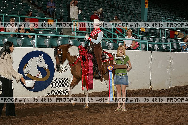 Proof Number yn_05_4615