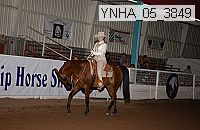 Proof Number ynha_05_3849