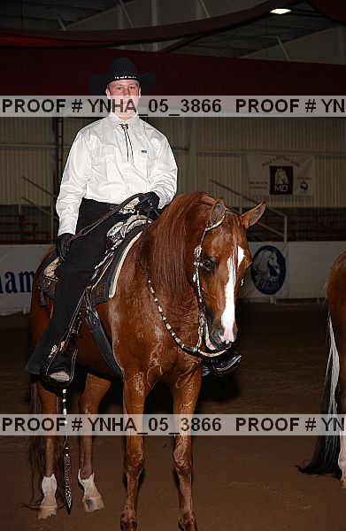 Proof Number ynha_05_3866