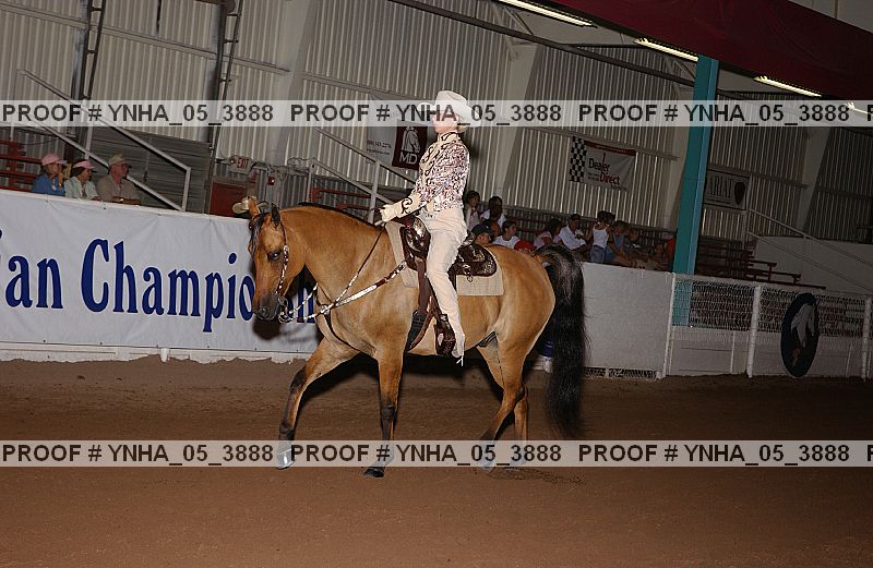 Proof Number ynha_05_3888