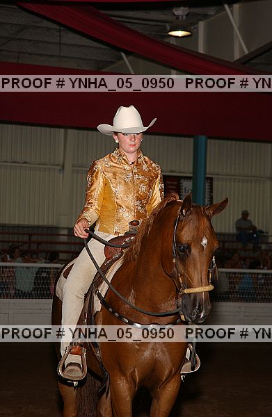 Proof Number ynha_05_0950