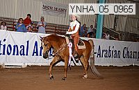 Proof Number ynha_05_0965