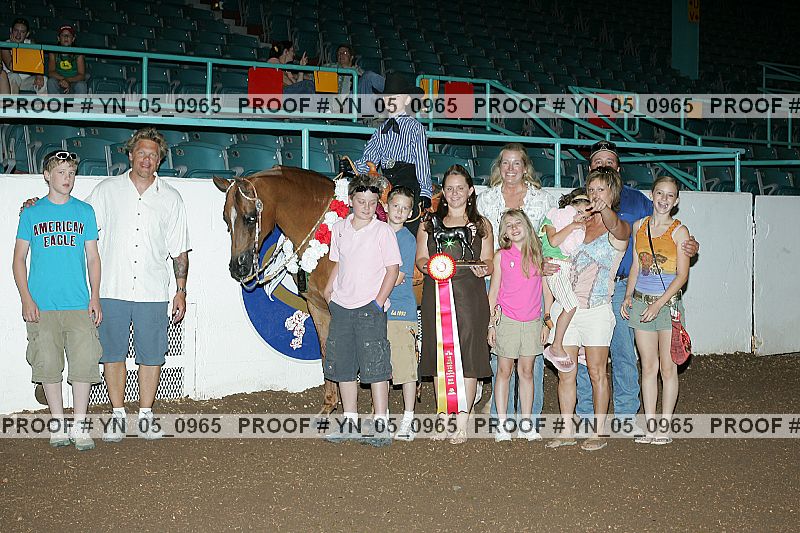 Proof Number yn_05_0965