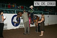 Proof Number yn_05_0968