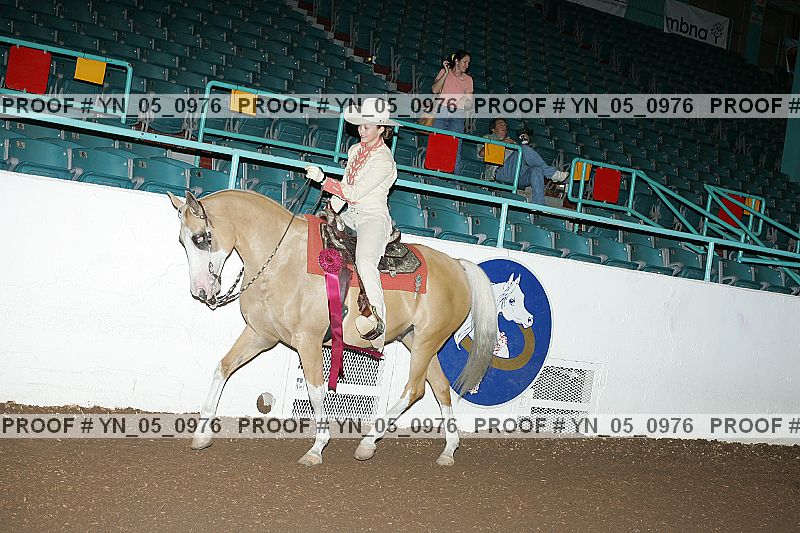 Proof Number yn_05_0976