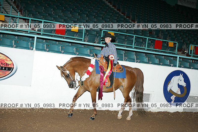 Proof Number yn_05_0983