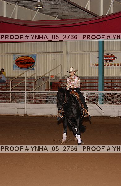 Proof Number ynha_05_2766
