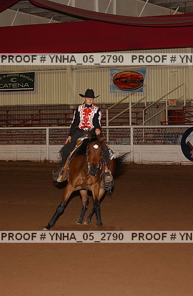 Proof Number ynha_05_2790