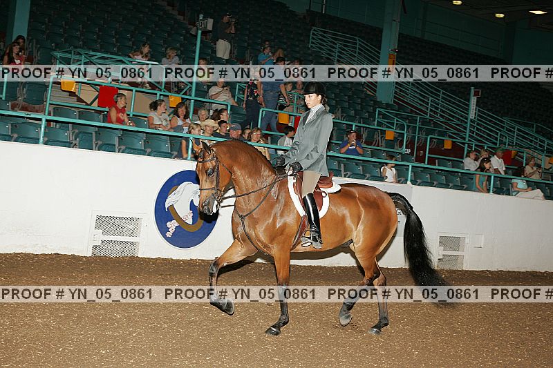 Proof Number yn_05_0861