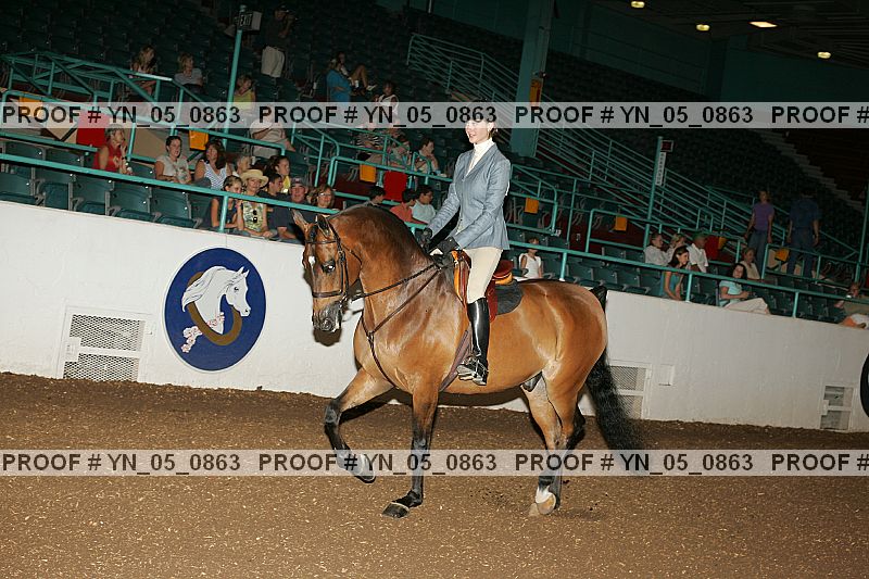 Proof Number yn_05_0863