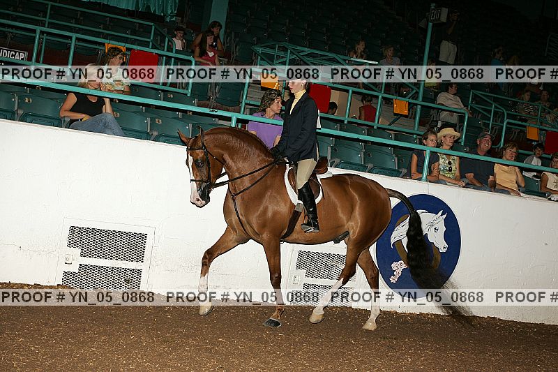 Proof Number yn_05_0868