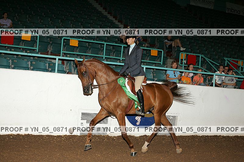 Proof Number yn_05_0871