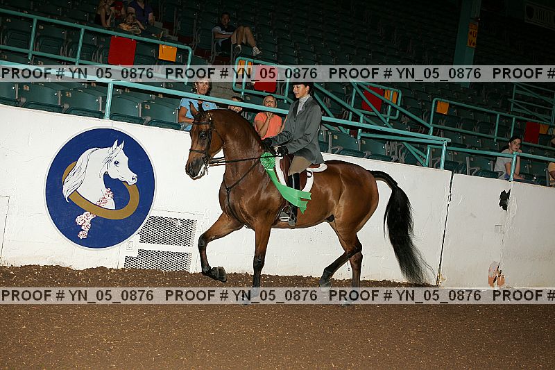 Proof Number yn_05_0876
