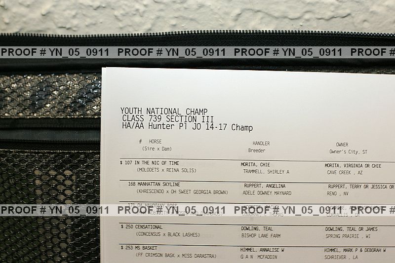 Proof Number yn_05_0911