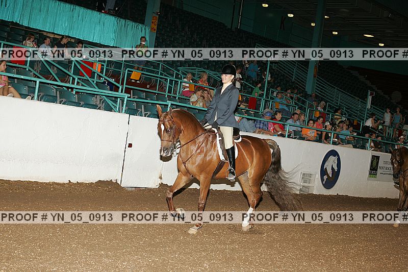 Proof Number yn_05_0913