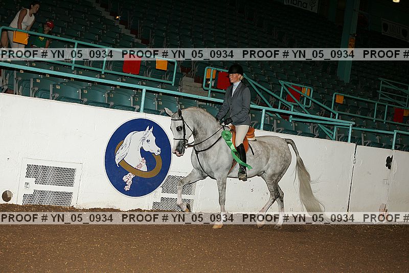 Proof Number yn_05_0934