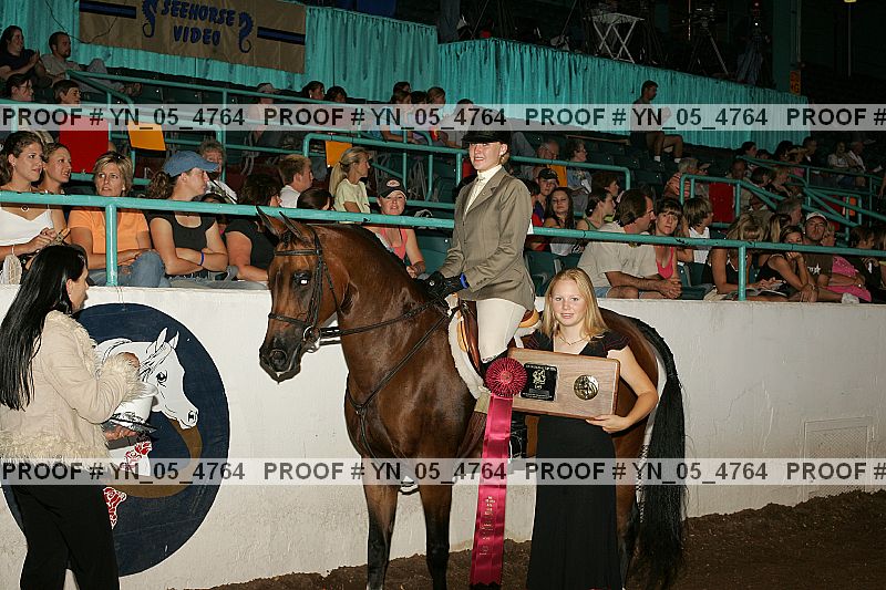 Proof Number yn_05_4764