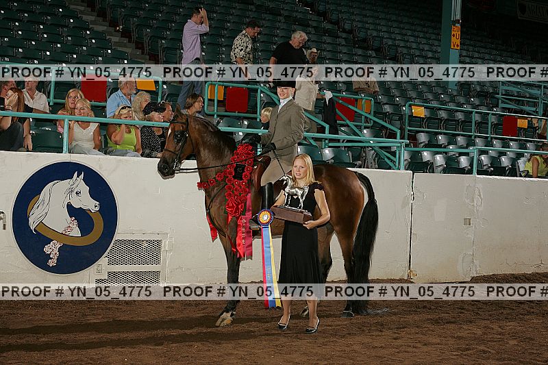 Proof Number yn_05_4775