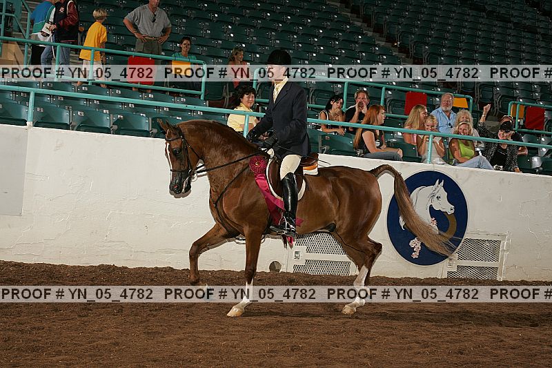 Proof Number yn_05_4782