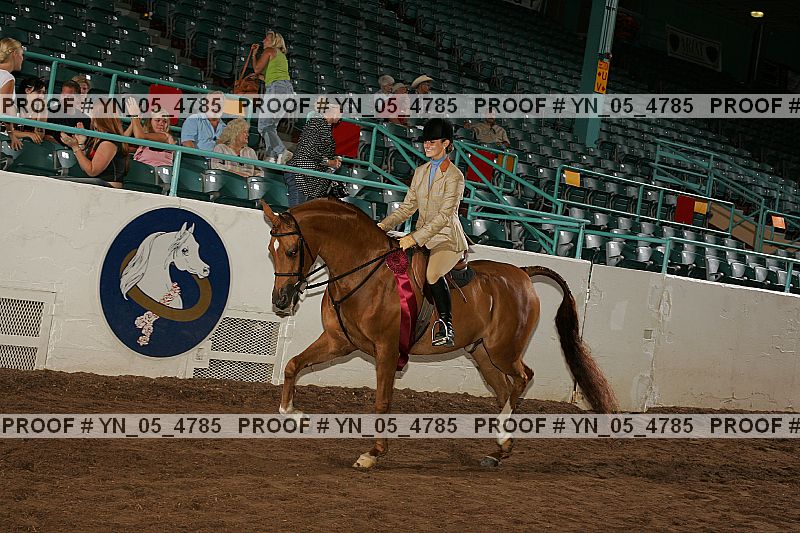 Proof Number yn_05_4785