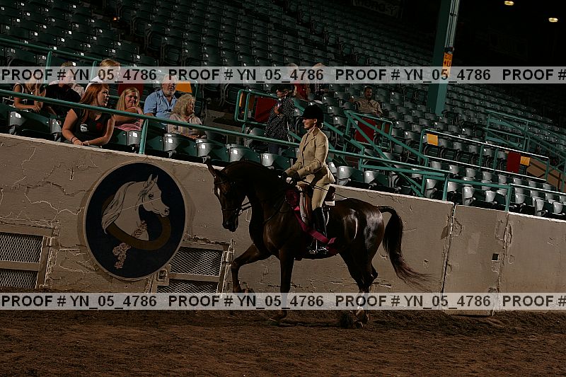 Proof Number yn_05_4786