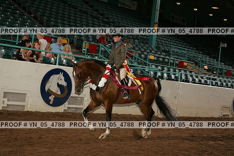 Proof Number yn_05_4788