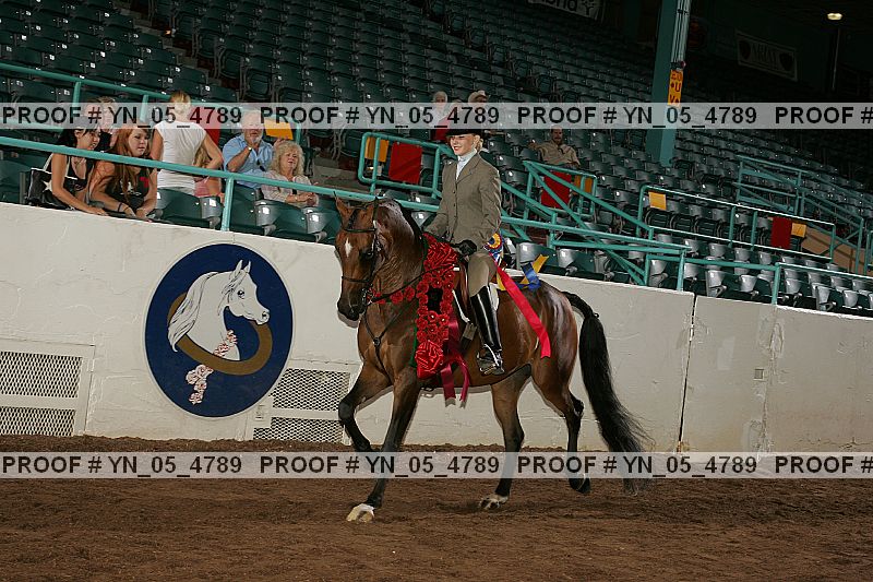 Proof Number yn_05_4789