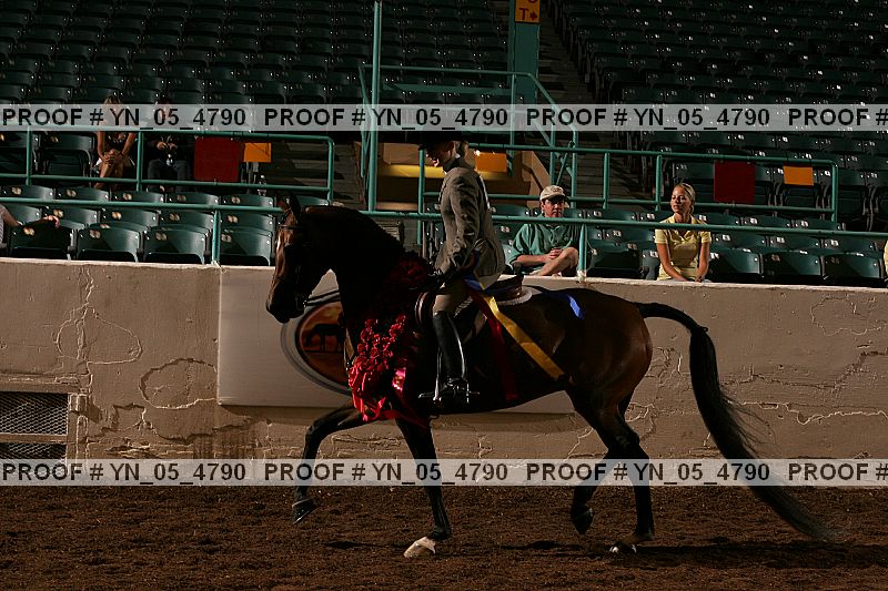 Proof Number yn_05_4790